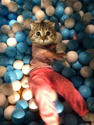 -KidSteam儿童乐园(富力城店)