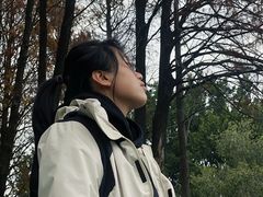-金砂公园