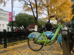 -苏州市立医院本部母子保健中心