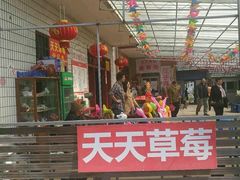 -青浦采草莓天天草莓园