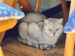 -不舍昼夜咖啡馆
