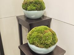 -广州文华东方酒店·悦铂尼西餐厅