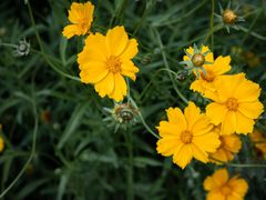 -盘龙城国家考古遗址公园