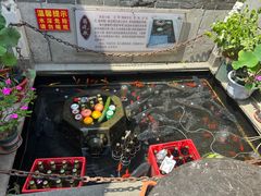 -燕喜堂·中华老字号(大明湖店)