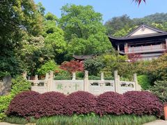 -十八棵（老龙井）御茶园(老龙井店)