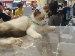 -吾悦广场(南京鼓楼店)