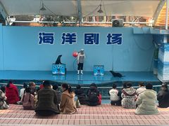 -无锡海洋馆