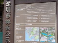 -华侨城湿地公园