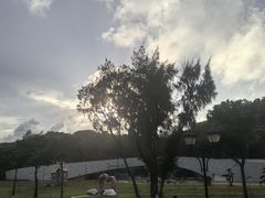 -野狸岛