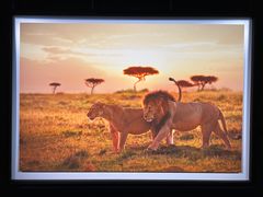 -罗红摄影艺术馆