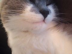 iphone_upload_pic-MIKAKU(万达广场上海宝山店)