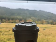 -塔川景区