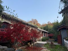 -丽泽山庄·生态怀柔菜·虹鳟鱼(红螺寺店)