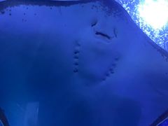 -多彩贵州城极地海洋世界