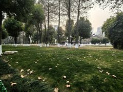 -堤角公园