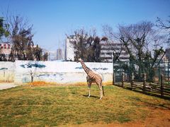 -昆明动物园