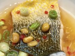 -诺莱仕游艇会