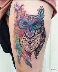 点击看大图 -龙之吻专业刺青·手工耳洞·纹身去色
