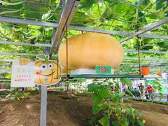 -兰陵国家农业公园