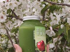-新时沏奶茶(瑞安马屿店)