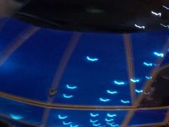 鎮店的蓝宝基尼？-南通金石国际大酒店