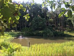 -四季酒店下午茶