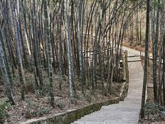 -敬亭山风景名胜区