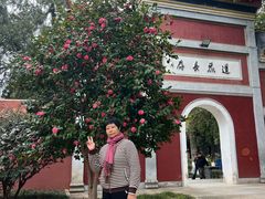 -南岳衡山风景名胜区-南岳大庙