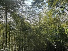 -湘间田舍(北仑银泰店)