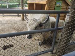 -长白岛森林公园