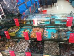 -鑫鸿达·海鲜闽菜热炒小馆(中山路店)