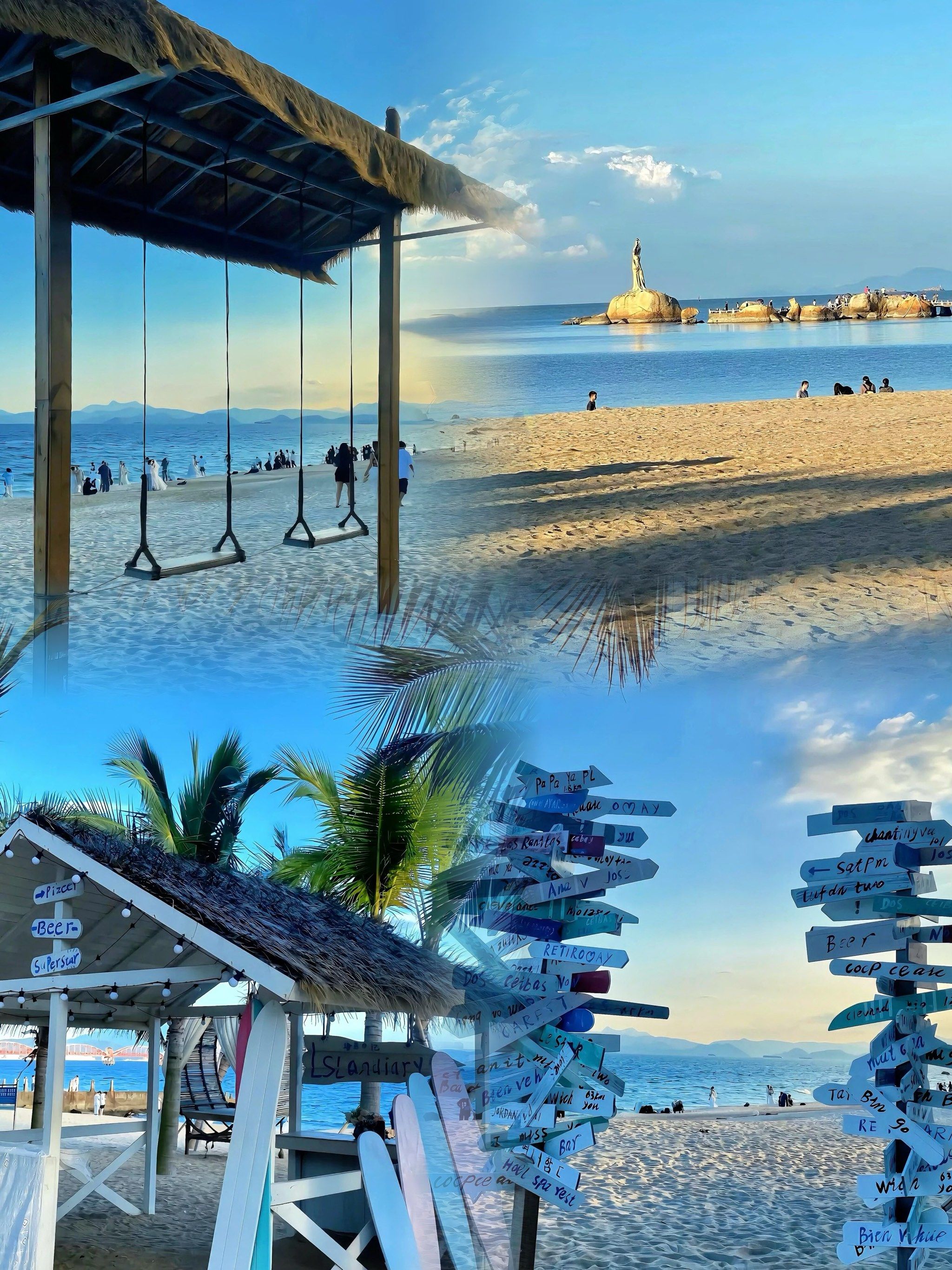 98深圳玫瑰海岸 | 一场诗意的海滨之旅 98