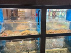 -码头鲜精致威海菜(欧乐坊店)