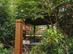 -瀛洲公园