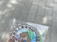 -上海动物园(地铁站)