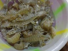 -羊栏农贸市场(羊新路店)