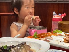 -鸭匠食府·挂炉烤鸭·新京菜(阜成路店)