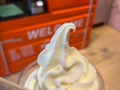 -萨朗刀克冰淇淋雪花凉(植物园店)