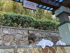 -汤山一号温泉度假区