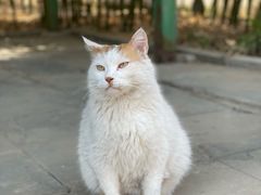 -云居寺