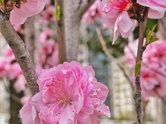 -龙美术馆(西岸馆)