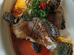-粤财皇冠假日酒店·彩华轩中餐厅
