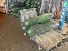 -江杨农产品批发市场