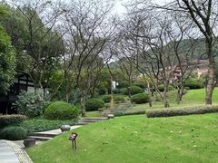 -中国茶叶博物馆(双峰馆区)