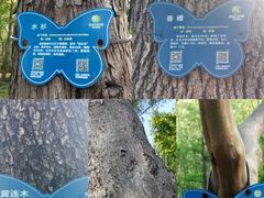 -昆山城市生态森林公园