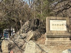 -白水寺森林公园