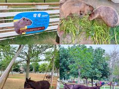 -盈香心动乐园