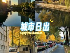 -三里屯东五街银杏大道