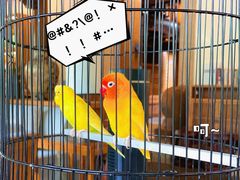 -广富林宰相府酒店·水云间