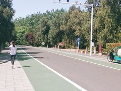 -洪泽湖古堰景区